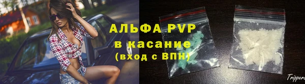 стаф Баксан