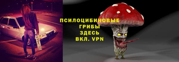 Альфа ПВП Аркадак