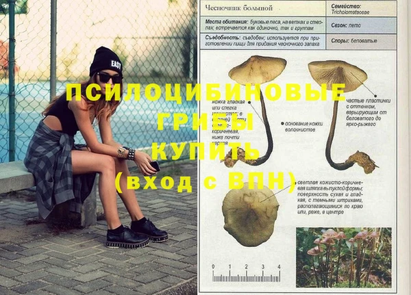 соль ск Балабаново