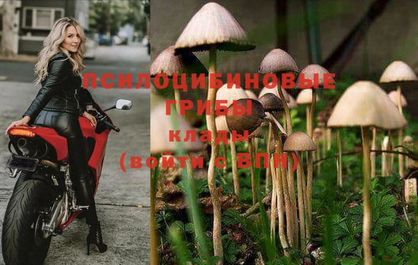 гашишное масло Балахна
