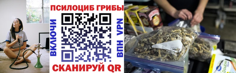MEGA ССЫЛКА  Новый Оскол  Псилоцибиновые грибы GOLDEN TEACHER 